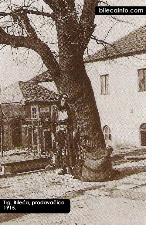 Bileca-old_20