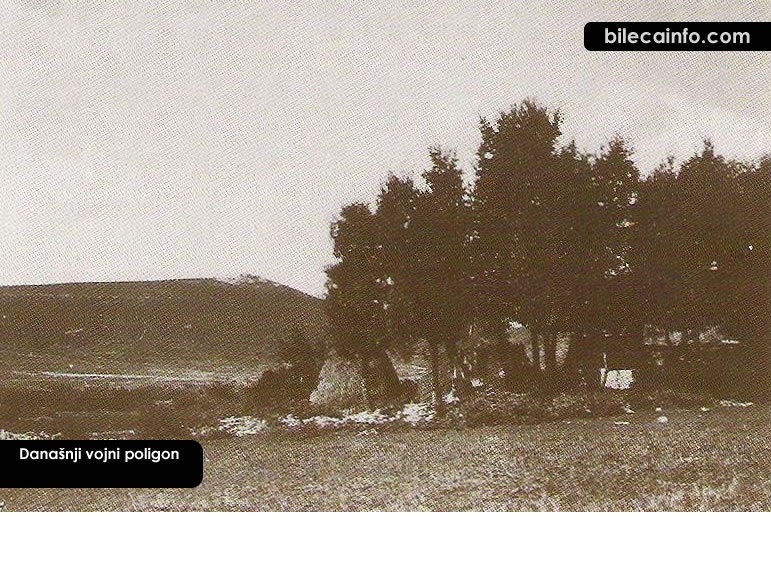 Bileca-old_24